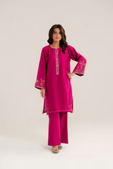 2 Piece Cotton Karandi Embroidered Suit (CP0293)